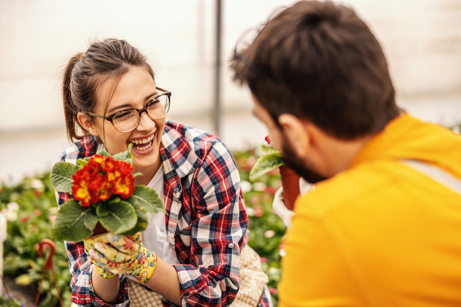 Melhorando a Experiência do Cliente em Floriculturas com Métricas de Satisfação